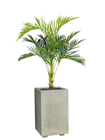 Vaso Alto modello Linea da cm. 50x50xh.80 - Cemento Grigio - Notaro Manufatti