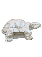 Tartaruga Cinese Media - Notaro Manufatti