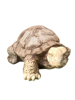 Tartaruga Cinese Media - Notaro Manufatti