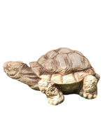 Tartaruga Cinese Media - Notaro Manufatti