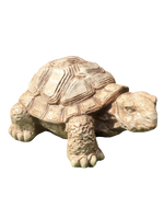 Tartaruga Cinese Media - Notaro Manufatti