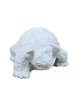 Tartaruga Cinese Media - Notaro Manufatti