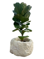 Vaso Sasso Tondo Alto Anticato Beige - Notaro Manufatti