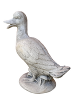 Oca In Piedi - Notaro Manufatti