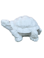 Tartaruga Cinese Media - Notaro Manufatti