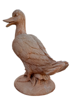 Oca In Piedi - Notaro Manufatti