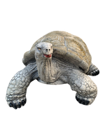 Tartaruga Nap - Notaro Manufatti