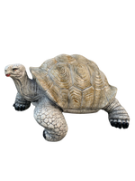 Tartaruga Nap - Notaro Manufatti