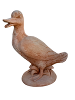 Oca In Piedi - Notaro Manufatti