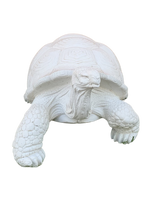 Tartaruga Nap - Notaro Manufatti