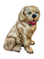 Cane San Bernardo - Notaro Manufatti