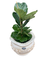 Vaso Sofi' Tondo Anticato Beige - Notaro Manufatti