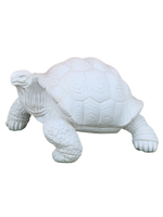 Tartaruga Nap - Notaro Manufatti