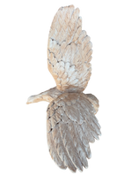 Aquila Gigante In Cemento - Notaro Manufatti