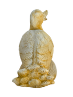 Oca Seduta - Notaro Manufatti