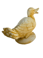 Oca Seduta - Notaro Manufatti