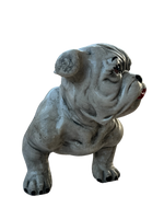 Cane Bulldog - Notaro Manufatti