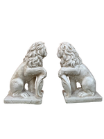 Coppia di Leoni Media Sx/Dx - Notaro Manufatti