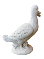 Oca In Piedi - Notaro Manufatti