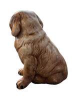 Cane San Bernardo - Notaro Manufatti