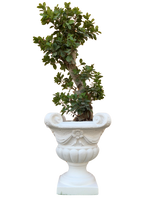 Vaso Quattro Punti - Bianco - Notaro Manufatti