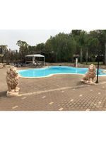 Leone Imperiale Gigante Dx/Sx - Notaro Manufatti