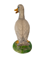 Oca In Piedi - Notaro Manufatti