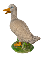 Oca In Piedi - Notaro Manufatti