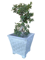 Vaso Quadrato Vimini con piedi - Grigio - Notaro Manufatti