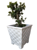 Vaso Quadrato Vimini con piedi - Bianco - Notaro Manufatti