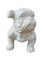 Cane Bulldog - Notaro Manufatti