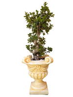 Vaso Quattro Punti Anticato Giallo - Notaro Manufatti