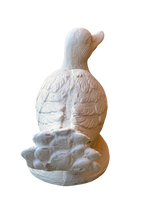 Oca Seduta - Notaro Manufatti