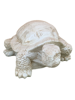 Tartaruga Cinese Media - Notaro Manufatti