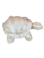 Tartaruga Cinese Media - Notaro Manufatti