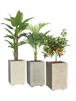 Vaso Alto modello Linea da cm. 50x50xh.80 - Cemento Bianco - Notaro Manufatti