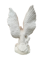 Aquila In Volo - Notaro Manufatti