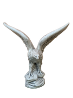 Aquila Media - Notaro Manufatti