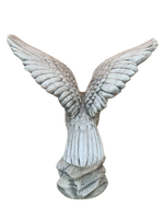 Aquila Media - Notaro Manufatti