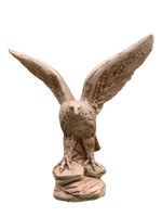 Aquila Media - Notaro Manufatti