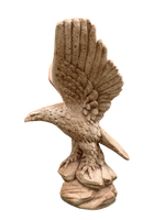 Aquila Media - Notaro Manufatti