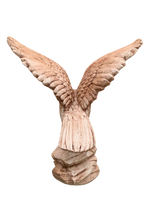 Aquila Media - Notaro Manufatti