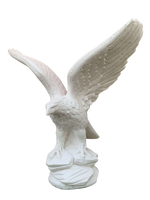 Aquila Media - Notaro Manufatti