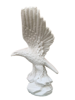 Aquila Media - Notaro Manufatti