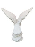 Aquila Media - Notaro Manufatti