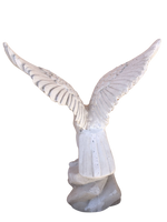 Aquilotto Piccolo - Notaro Manufatti