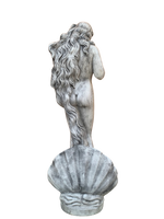 Statua della Venere di Botticelli in Cemento - Notaro Manufatti