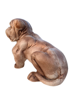 Cane Bulldog - Notaro Manufatti