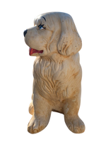 Cane San Bernardo - Notaro Manufatti