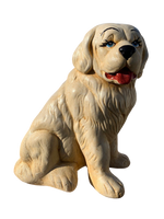 Cane San Bernardo - Notaro Manufatti